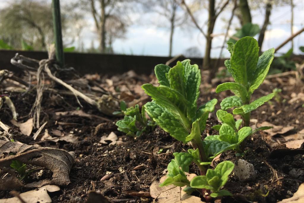 Fietsboerderij Villa Sinderen Exteriör bild